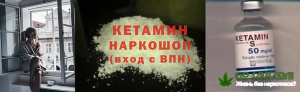 гидра Инсар