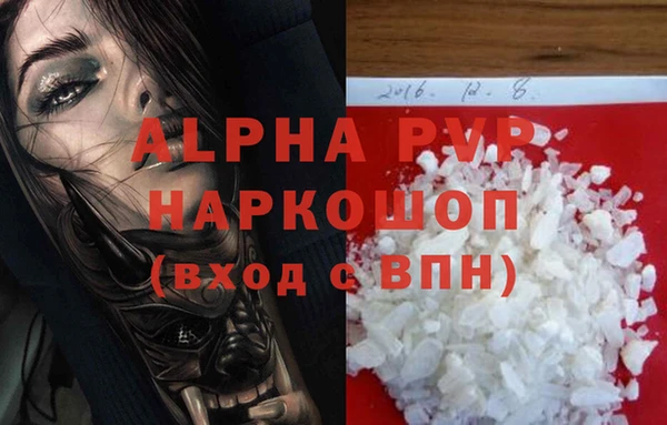 хмурый Каменногорск