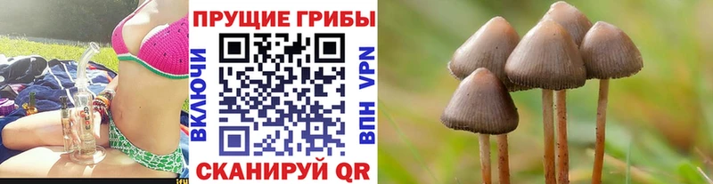 Псилоцибиновые грибы MAGIC MUSHROOMS  где продают наркотики  hydra ссылки  Котельники 