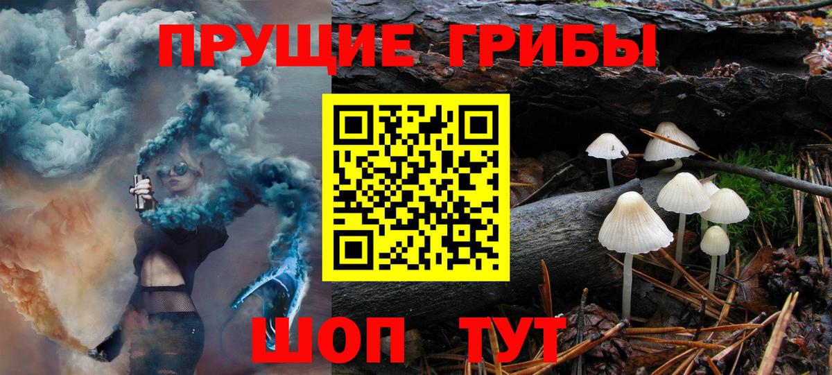 Галлюциногенные грибы Cubensis Котельники
