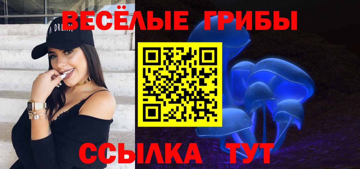где купить наркотик  Псилоцибиновые грибы мицелий  Галлюциногенные грибы Magic Shrooms  Вход с VPN  Котельники 